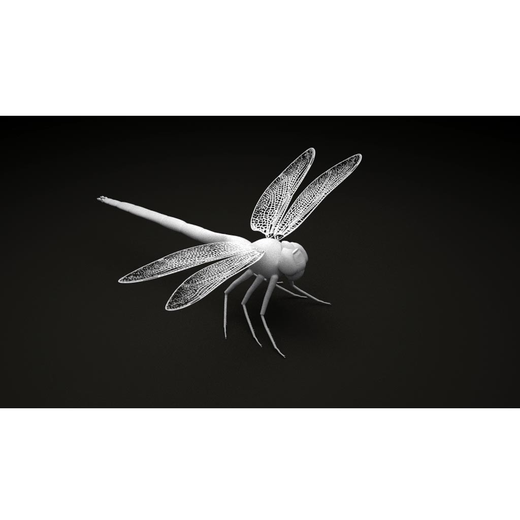 Dragonfly preview image 1